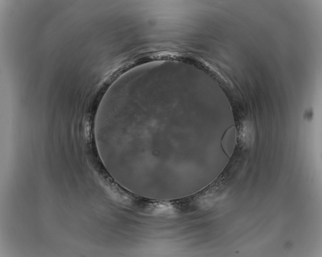 X0000090770715200707201438