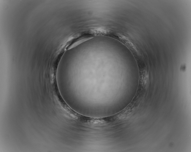 X0000090770716200707201438