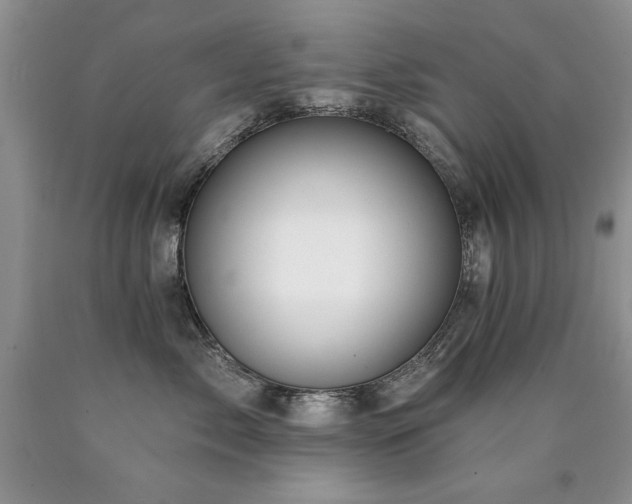 X0000090770717200707201438