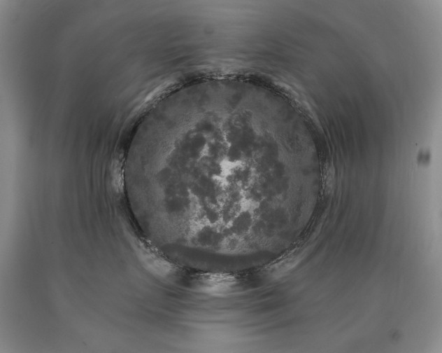 X0000090770719200707201438