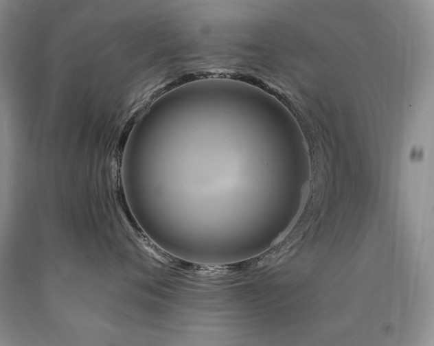 X0000090770720200707201438