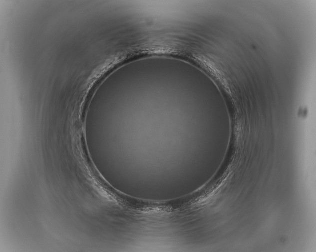X0000090770721200707201438