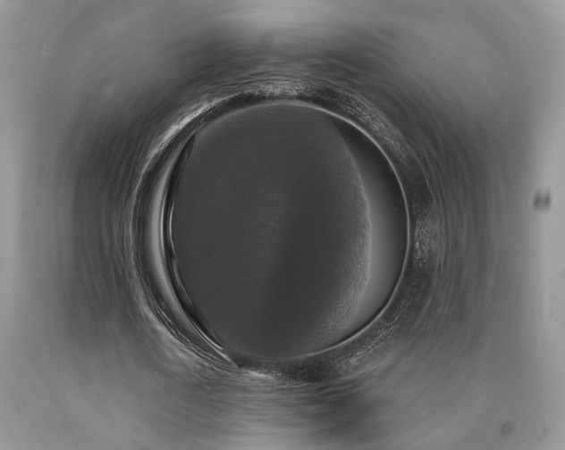 X0000090770722200707201438