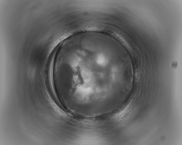 X0000090770725200707201438
