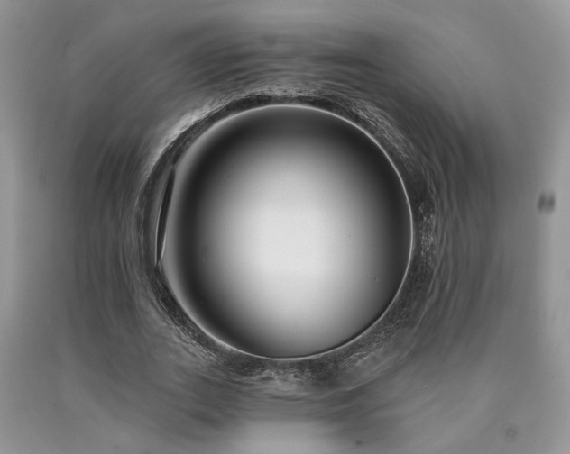 X0000090770727200707201438