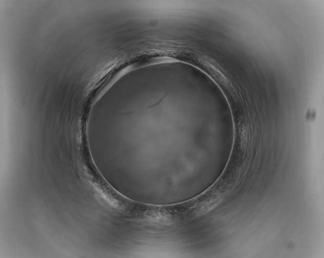 X0000090770729200707201438