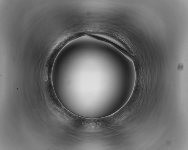 X0000090770731200707201438