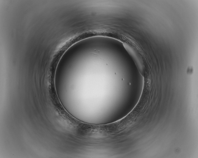 X0000090770732200707201438