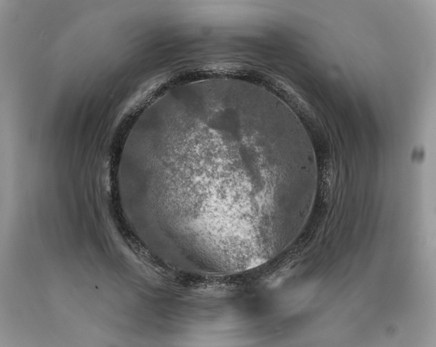 X0000090770734200707201438