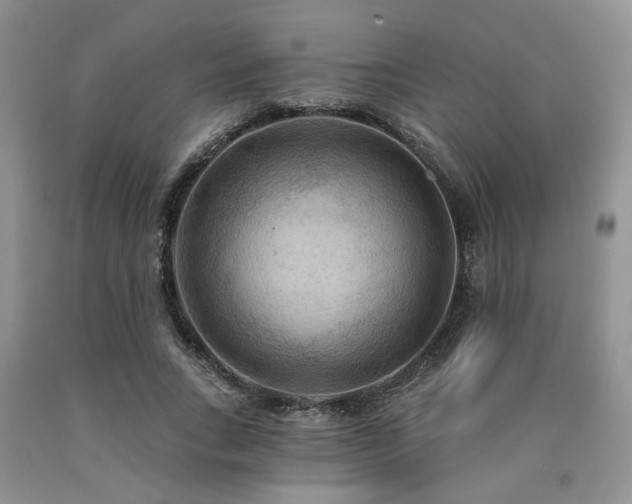X0000090770735200707201438