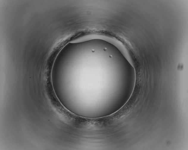 X0000090770736200707201438