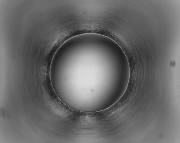 X0000090770739200707201438