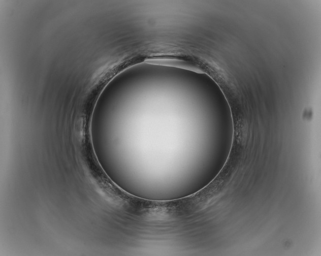 X0000090770740200707201438