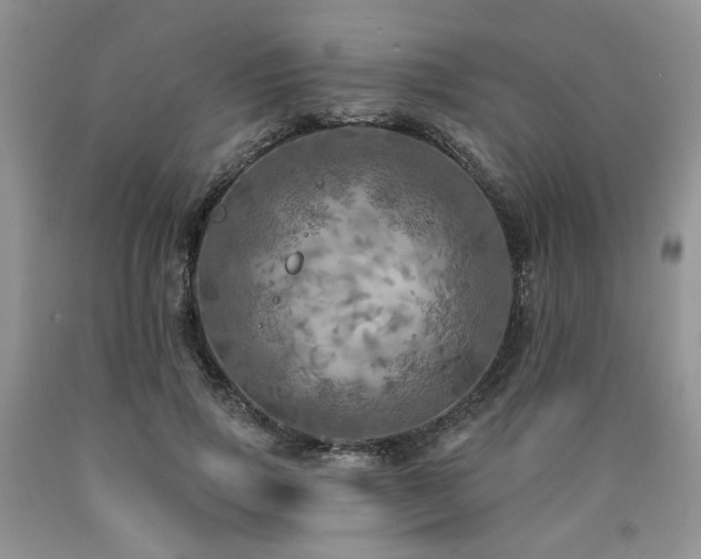 X0000090770741200707201438