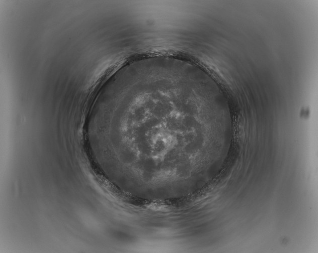 X0000090770742200707201438