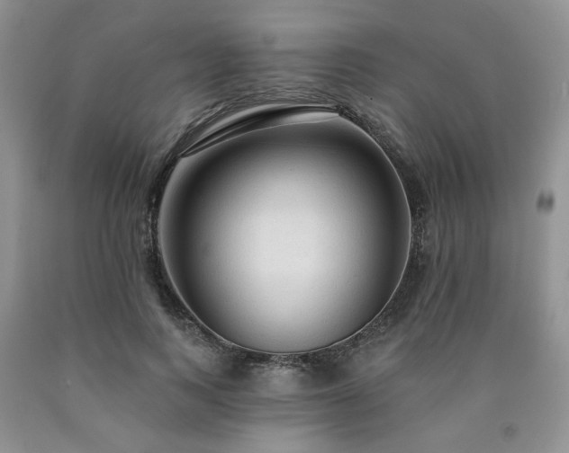 X0000090770743200707201438
