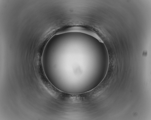 X0000090770744200707201438