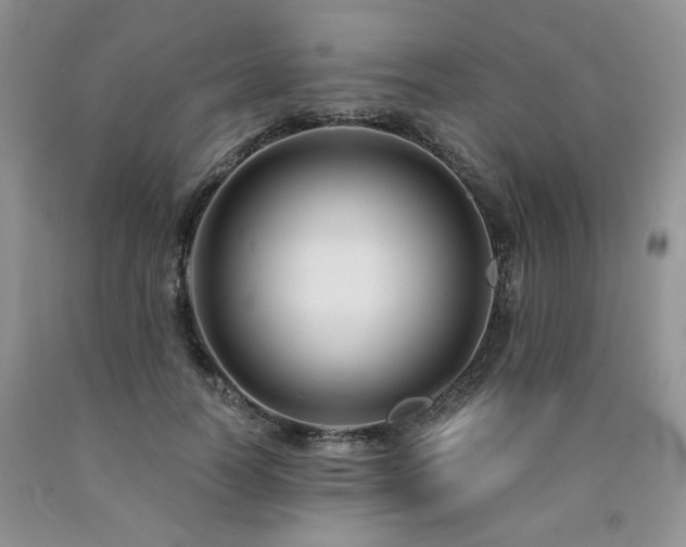X0000090770746200707201438