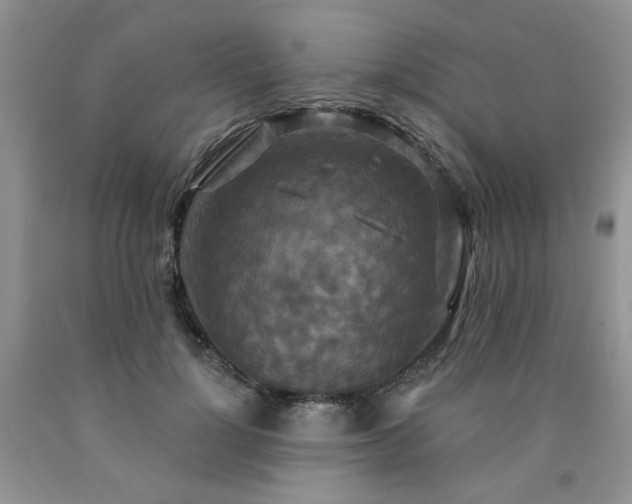 X0000090770748200707201438