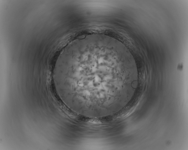 X0000090770749200707201438