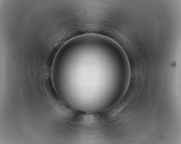 X0000090770751200707201438