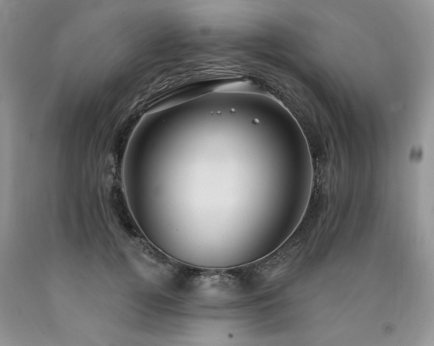 X0000090770752200707201438