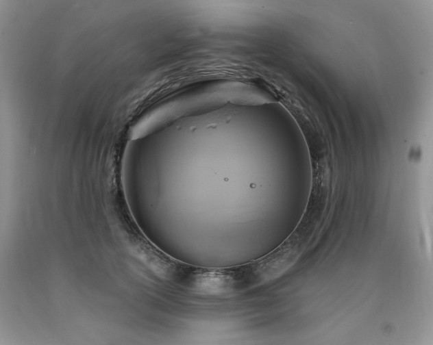 X0000090770754200707201438