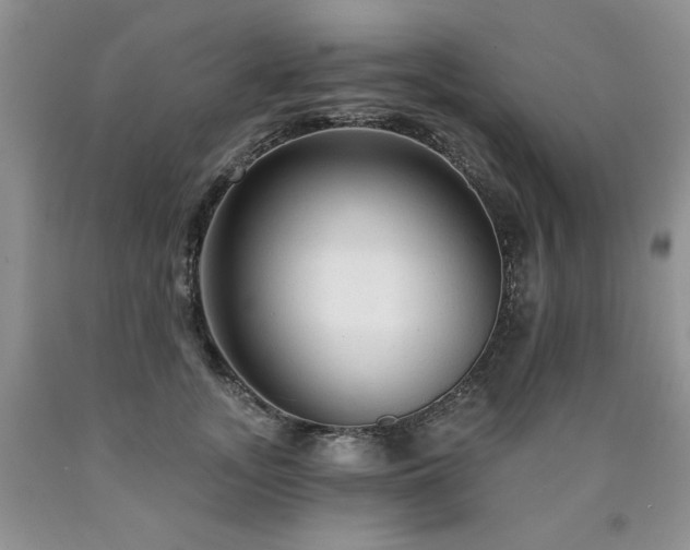 X0000090770755200707201438