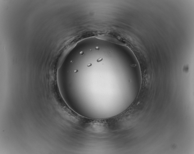 X0000090770756200707201438