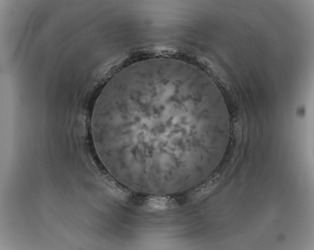 X0000090770757200707201438