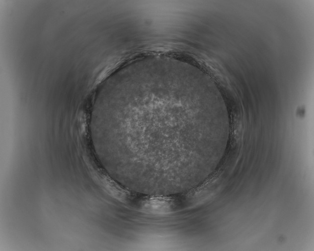 X0000090770758200707201438