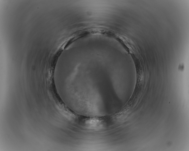 X0000090770759200707201438