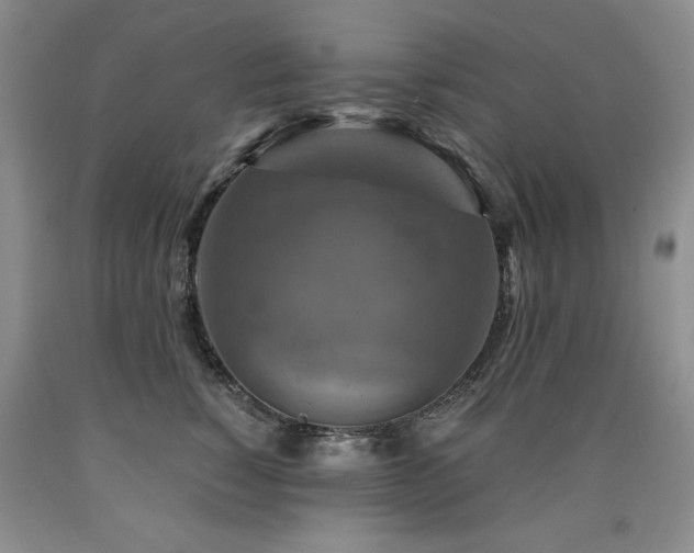X0000090770760200707201438