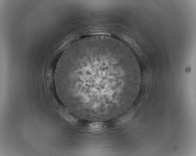 X0000090770761200707201438