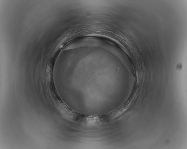 X0000090770762200707201438
