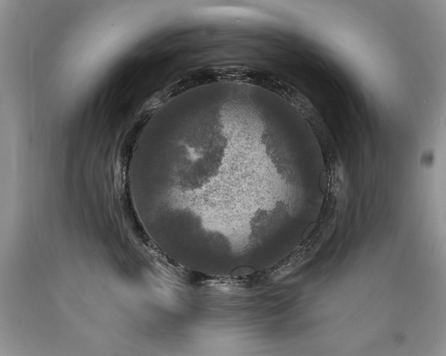 X0000090770763200707201438