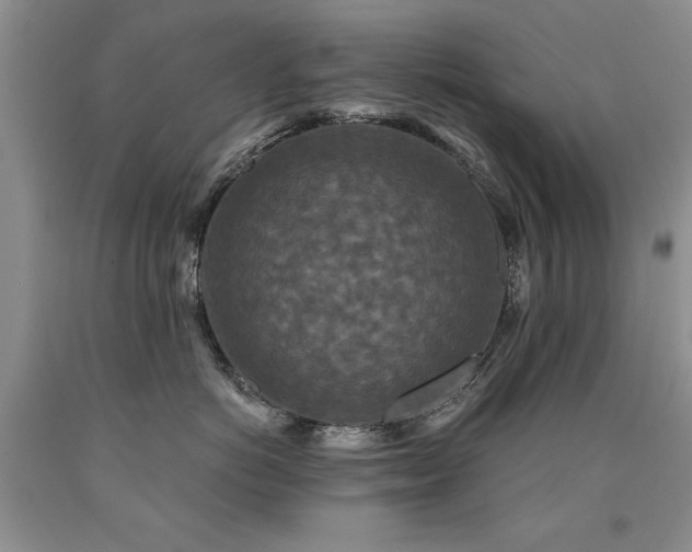 X0000090770766200707201438