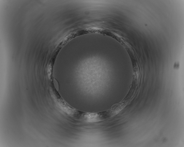 X0000090770767200707201438