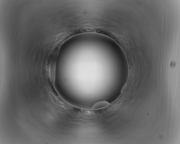 X0000090770768200707201438