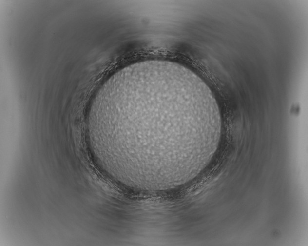 X0000090770769200707201438