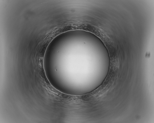 X0000090770770200707201438