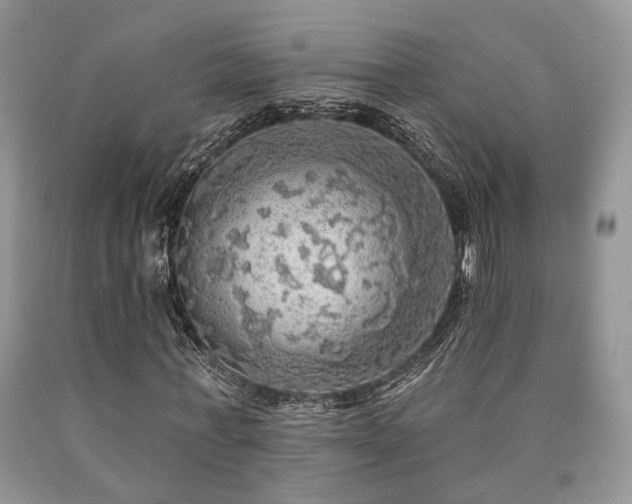 X0000090770771200707201438