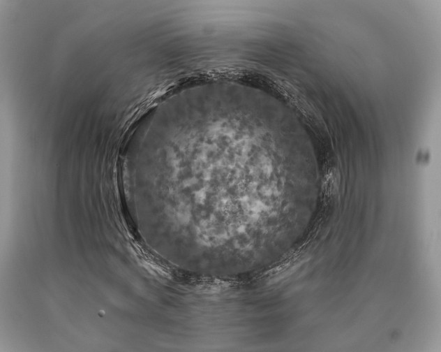 X0000090770772200707201438