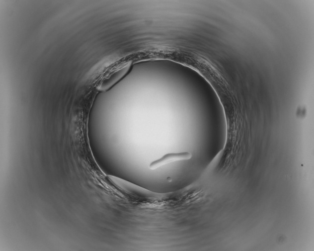 X0000090770773200707201438