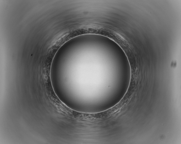 X0000090770774200707201438