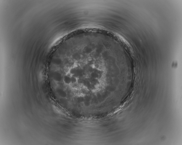 X0000090770775200707201438