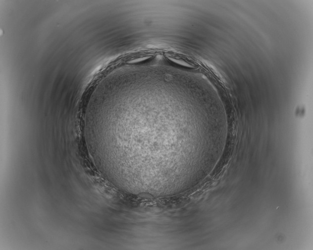 X0000090770776200707201438