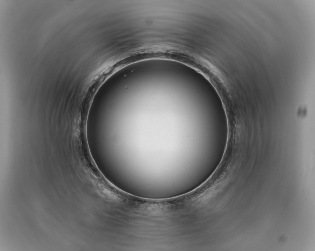 X0000090770778200707201438