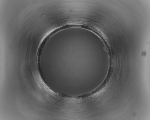 X0000090770779200707201438