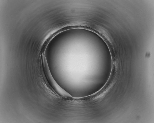 X0000090770781200707201438